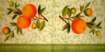 040 Zitronen, Orangen - 3-lagig (grün) - Ihr